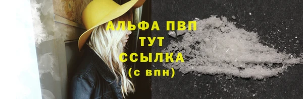 сатива Волоколамск