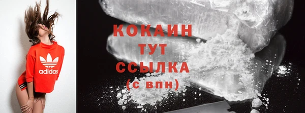 сатива Волоколамск