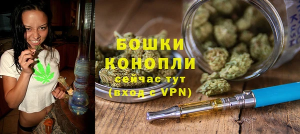 сатива Волоколамск