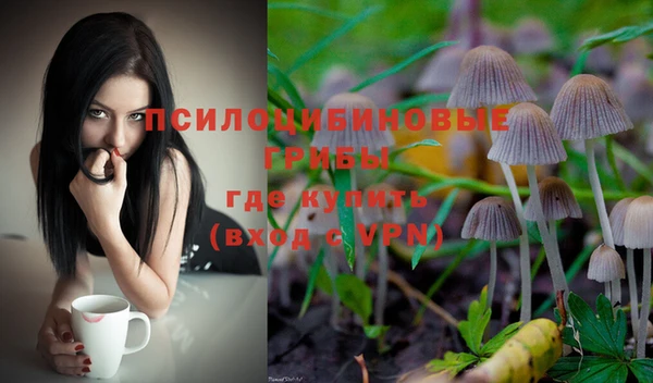 кокс Вяземский