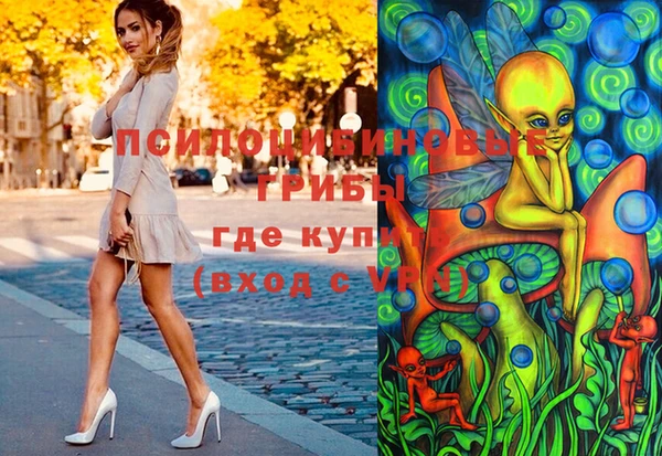 сатива Волоколамск